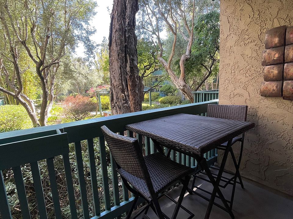 Garden view from patio