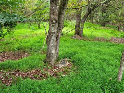 Ev1305 Lipo Way, Albrightsville, PA, 18210