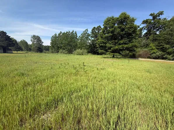 W Royal Rd Lot D, Stanwood, MI 49346