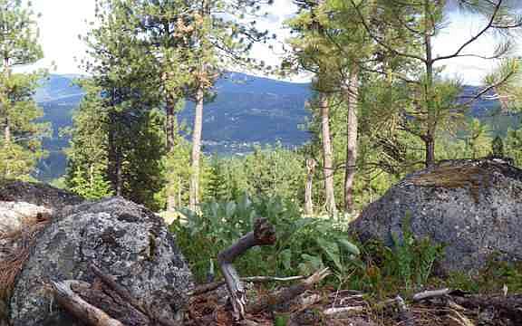 3rd image of 0 S Park Ln