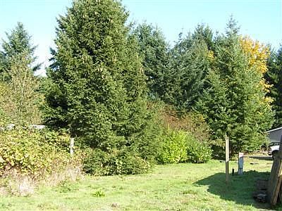 5th image of 30607 150th Ave SE