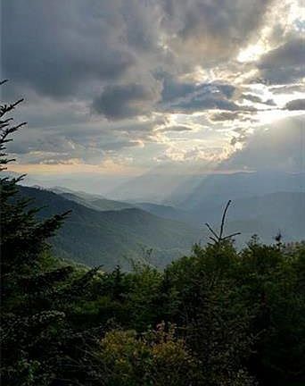 5th image of 254 Picnic Gap