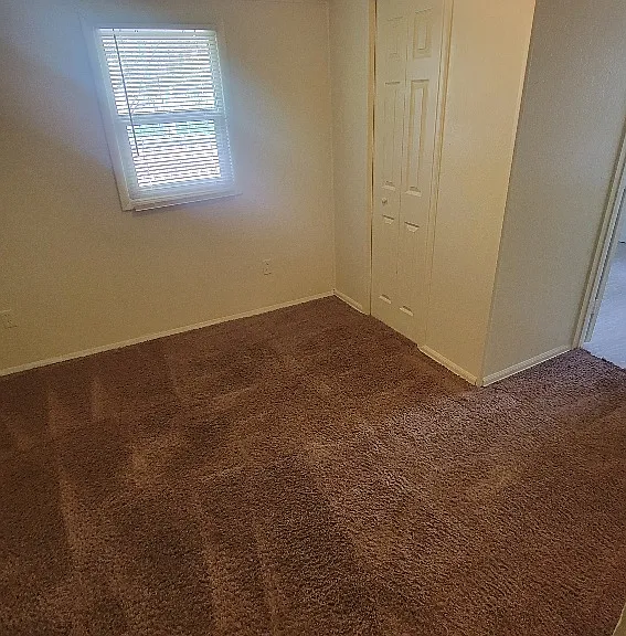 10310 Ute Pass Ave — Photo 6