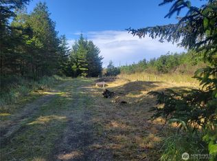 35 & J Ln, Ilwaco, WA 98624
