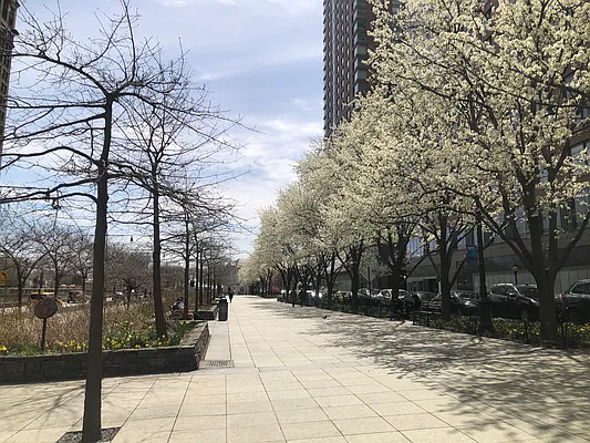 Sold by Nami New York Property LLC | media 19