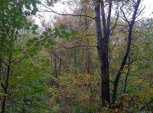 302 Bear Wallow Trl, Leicester, NC 28748