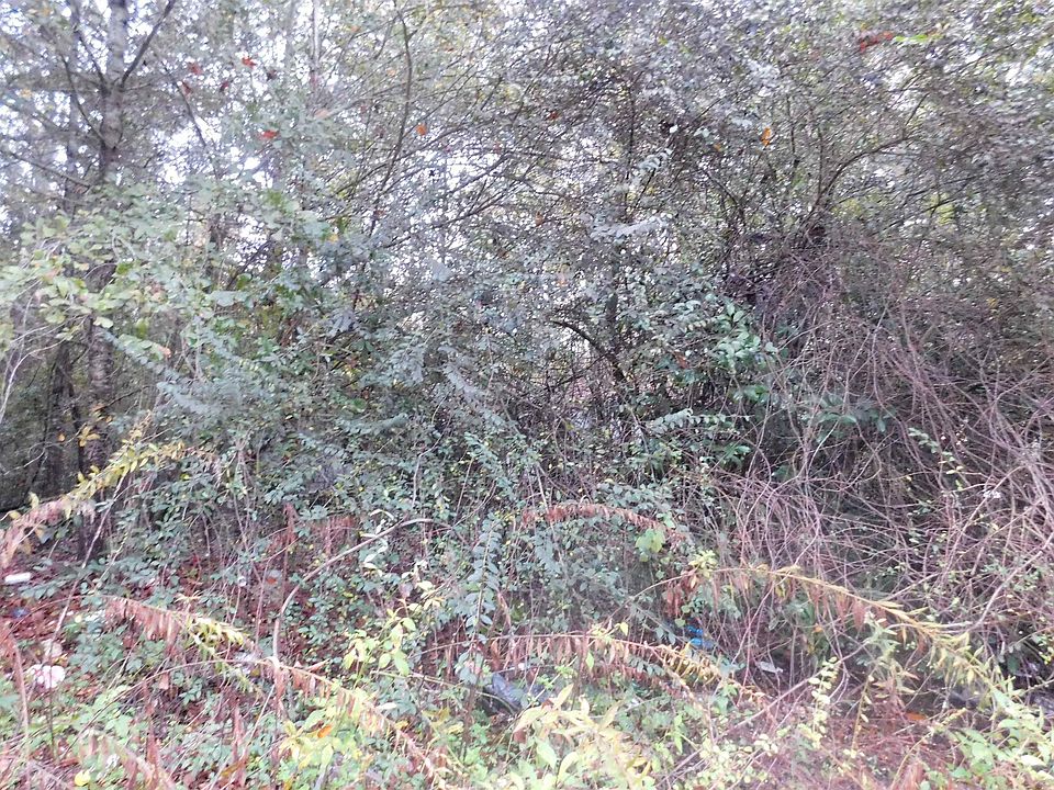 2nd image of 247 Luther Rd