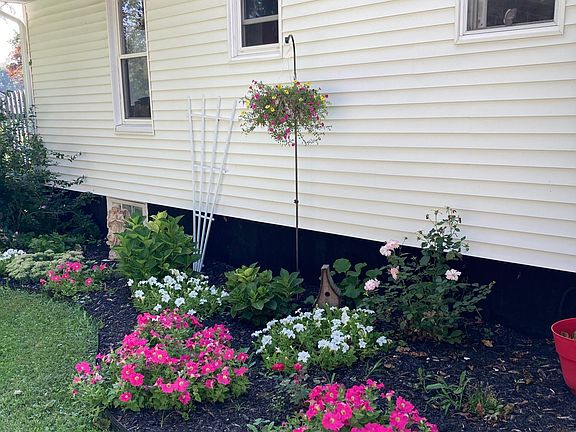 Summertime in Scotia at our home