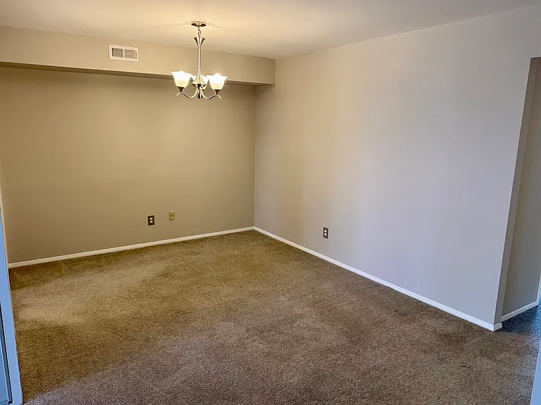 Spring Lake Dr — Photo 9
