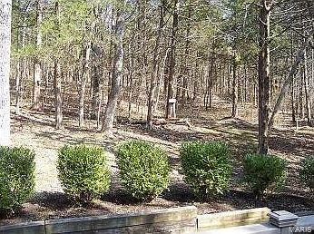 4th image of 13481 Lakewood Dr