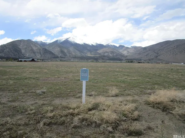 75 Amanda Ln, Wellington, NV 89444