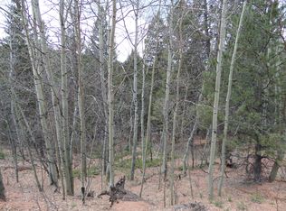 99 Witherite Dr, Divide, CO 80814