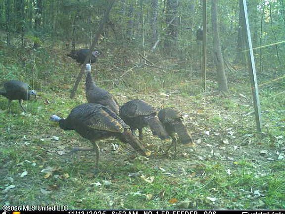 4th image of 2738 County Farm Rd #A-d