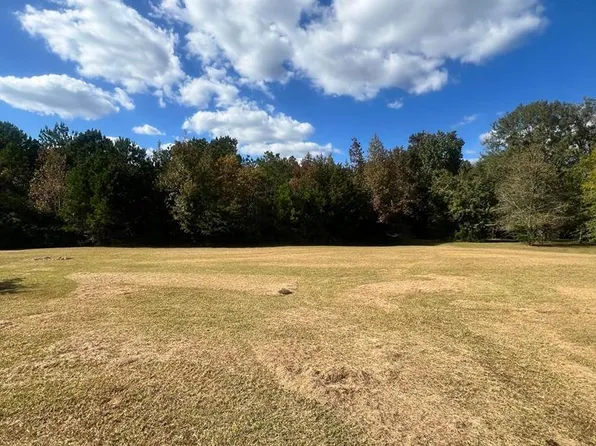 1517 Ebenezer Rd, Ellaville, GA 31806