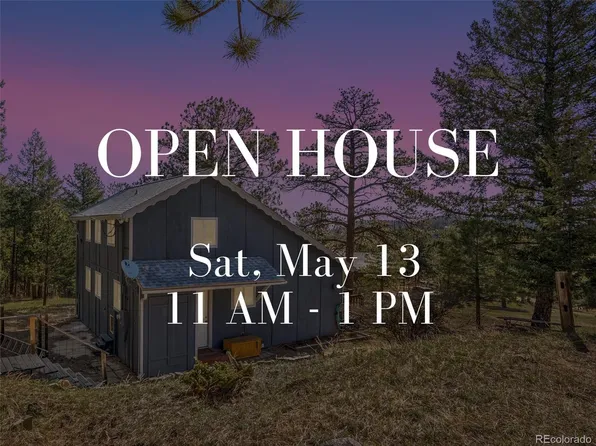 540 Chickadee Lane, Bailey, CO 80421