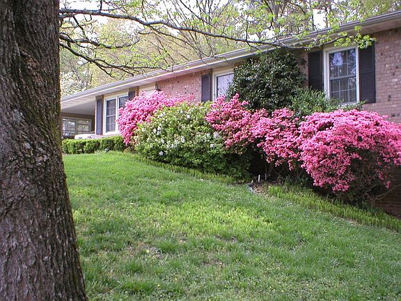 5th image of 3021 Hillwood Dr