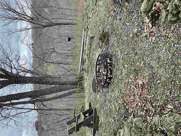 5th image of 61213 Quiet Woods Ln