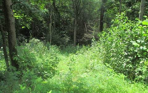 2nd image of Chow Ln