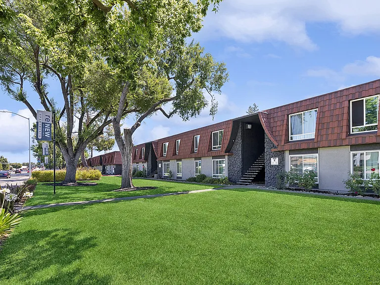 ReNew on Coloma — Photo 15