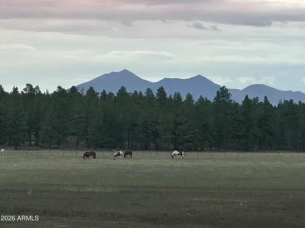 XXXX E FSR 700 and FSR 78 -- #2, Flagstaff, AZ 86005