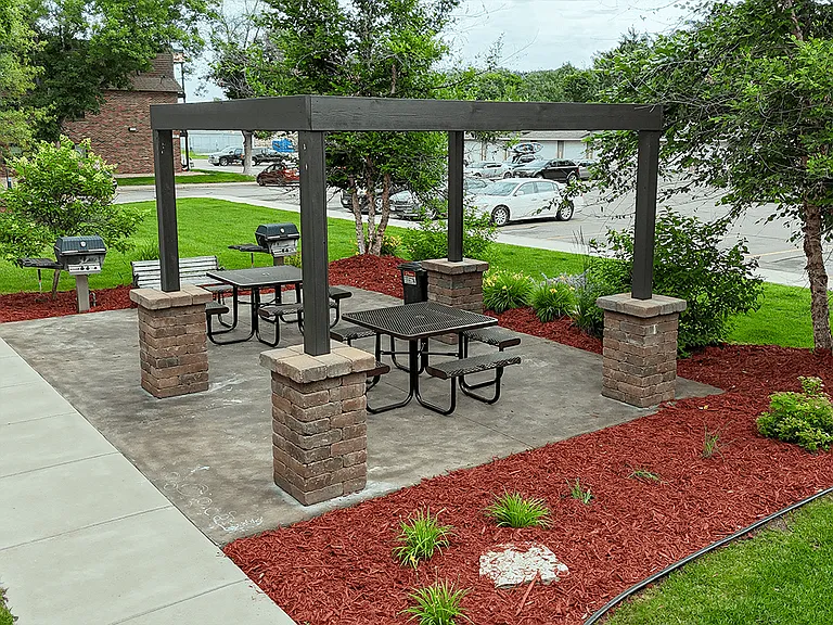 Shaded Tree Arbor