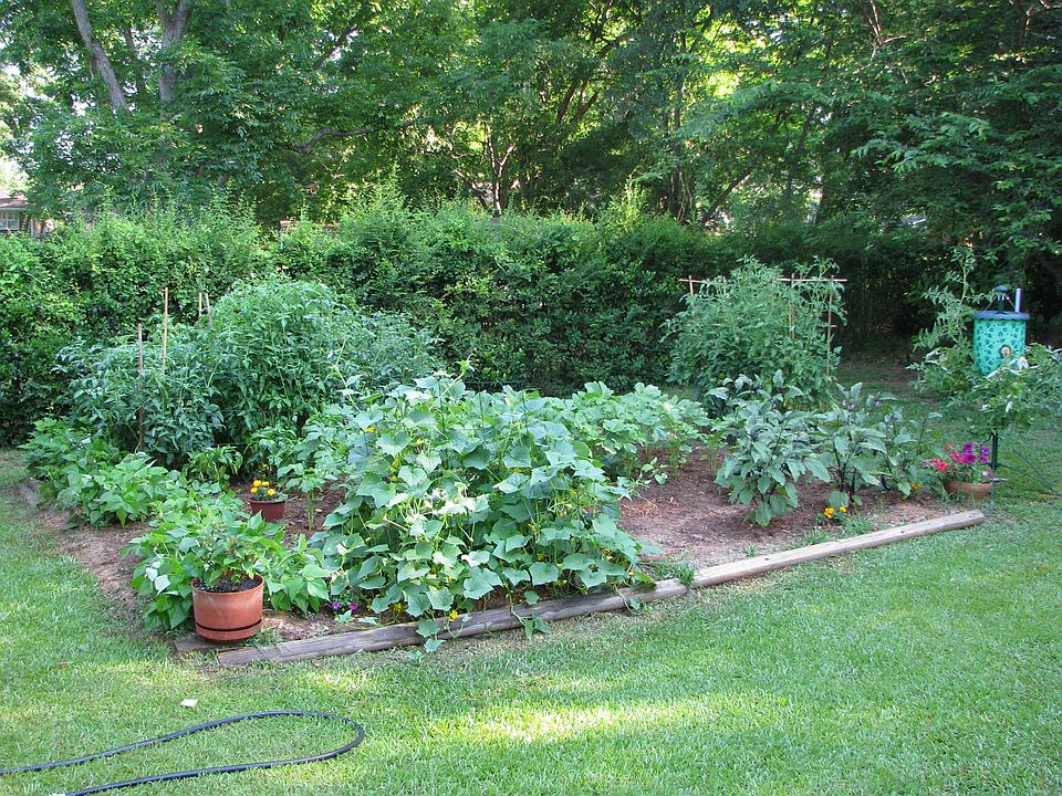 2nd image of 1027 Glenbrook Rd