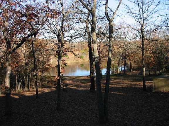 View of pond from deck
