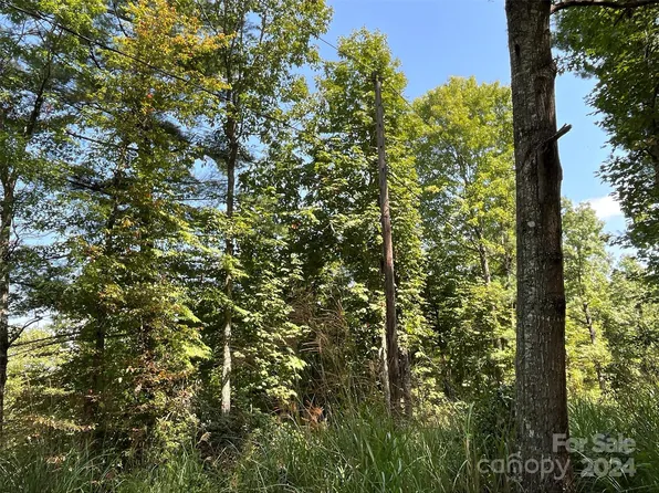 99999 Erwin Hill Dr, Hendersonville, NC 28739