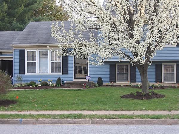 Front Yard From Street