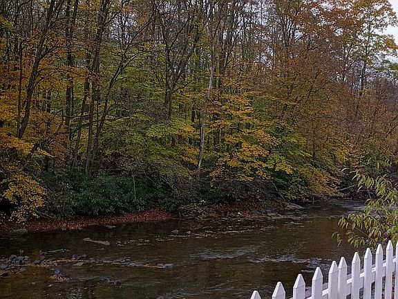 View from the kitchen