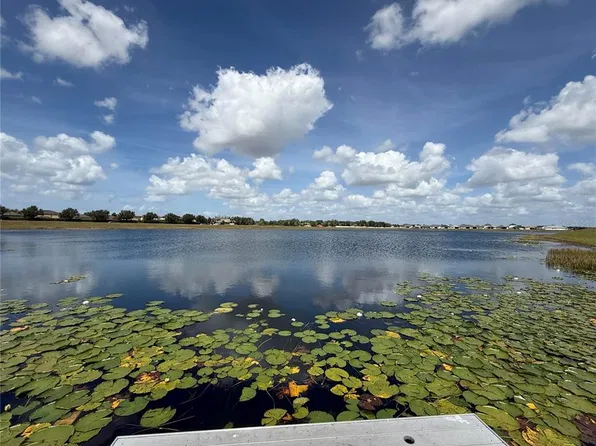 11412 Freshwater Ridge Dr, Riverview, FL 33579