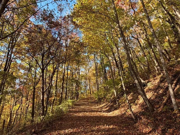 0 Strawberry Branch, Scaly Mountain, NC 28775