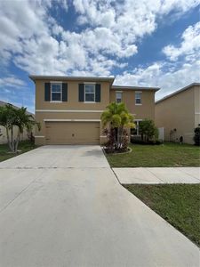 12010 Gillingham Harbor Ln, Gibsonton, FL, 33534