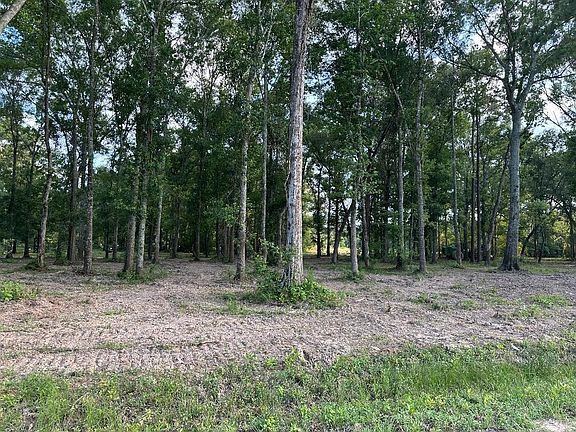 4th image of TRACT One 0 Blackburn Dr