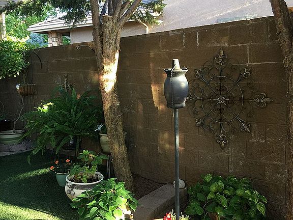 Back yard