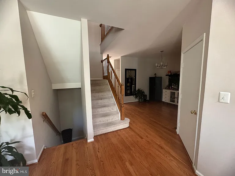 1338 Park Garden Ln — Photo 3