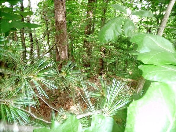 4th image of 360 Kenmure Dr #4