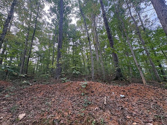 3rd image of 9 Fincastle Rd Lot 9