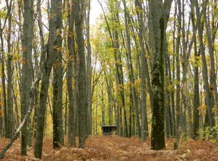 Fruchey Ranch Rd, Hubbard lake, MI --