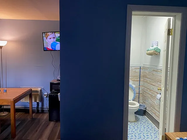 Studio, 350 sqft, $899 — Photo 3