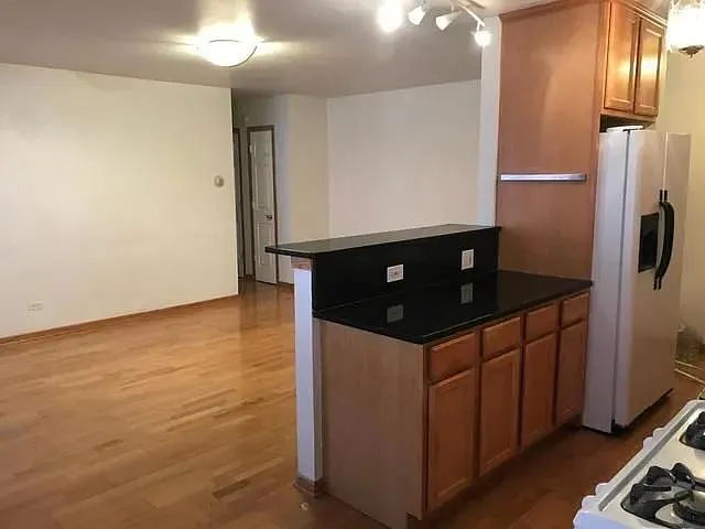 313 Elgin Ave #203 — Photo 4