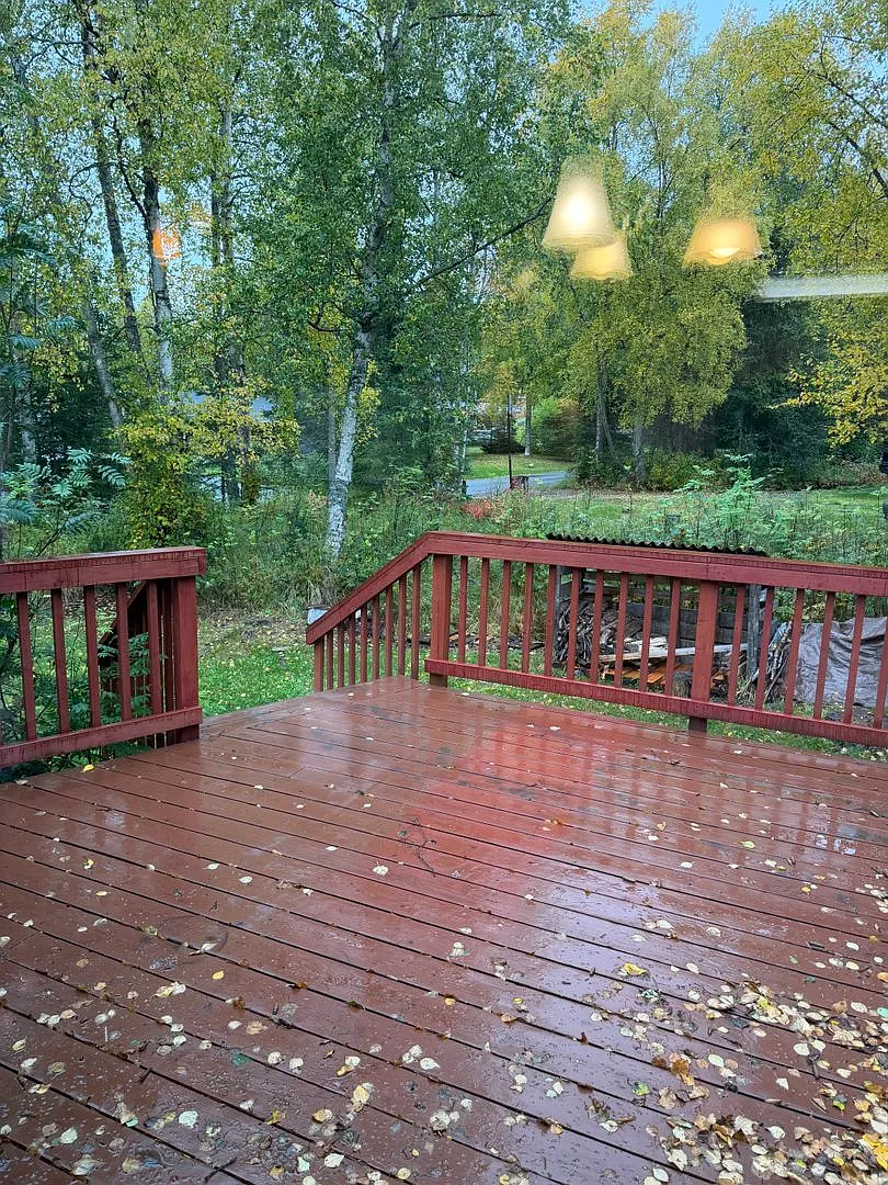 South Anchorage 3 Bedroom/1.75 Bath Home with Sun Room! — Photo 4