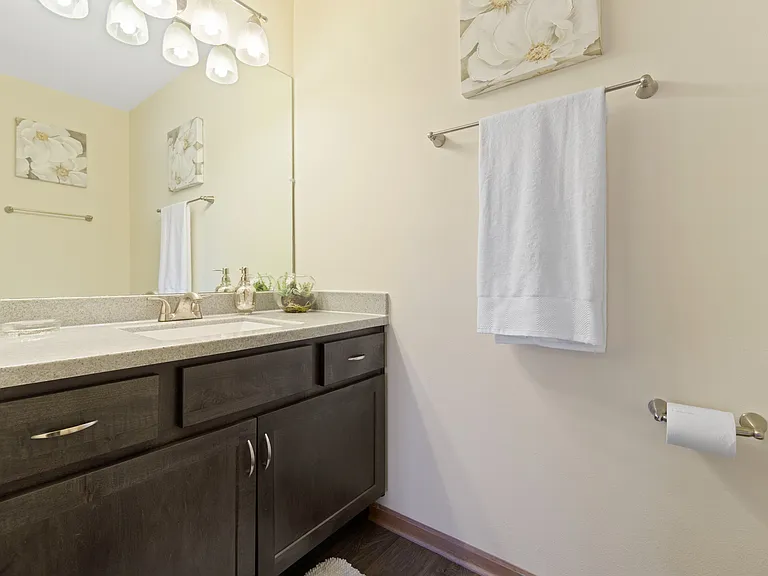 Saddlebrook Apartments Bathroom