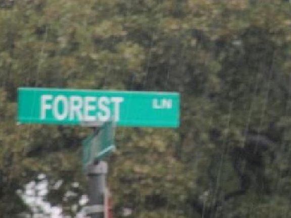5th image of 132 Forest Dr