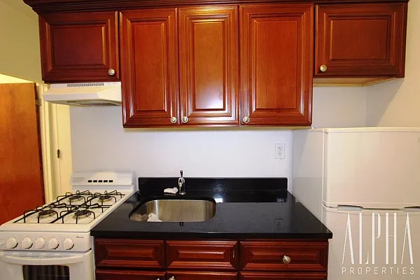 Rented by Alpha Properties NYC I LLC | media 26