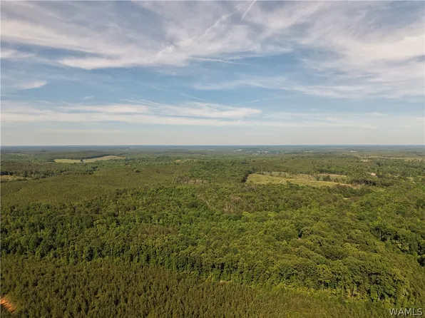 0 County Highway 97, Detroit, AL 35552