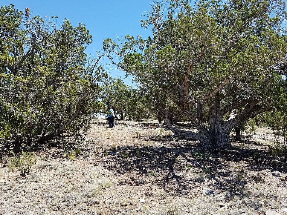 1st image of 54968 N Echo Ln