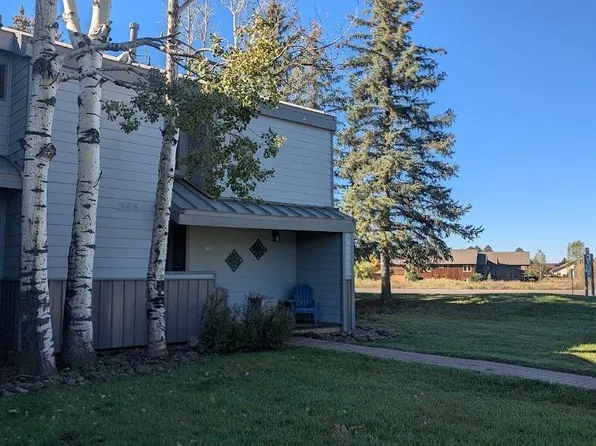 247 Davis Cup #4106, Pagosa Springs, CO 81147