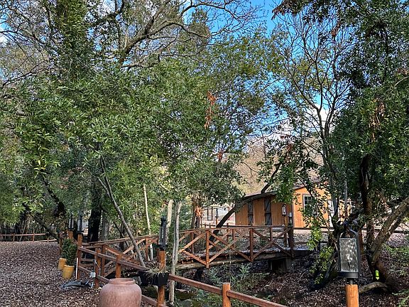 Scenic bridges over the creeks