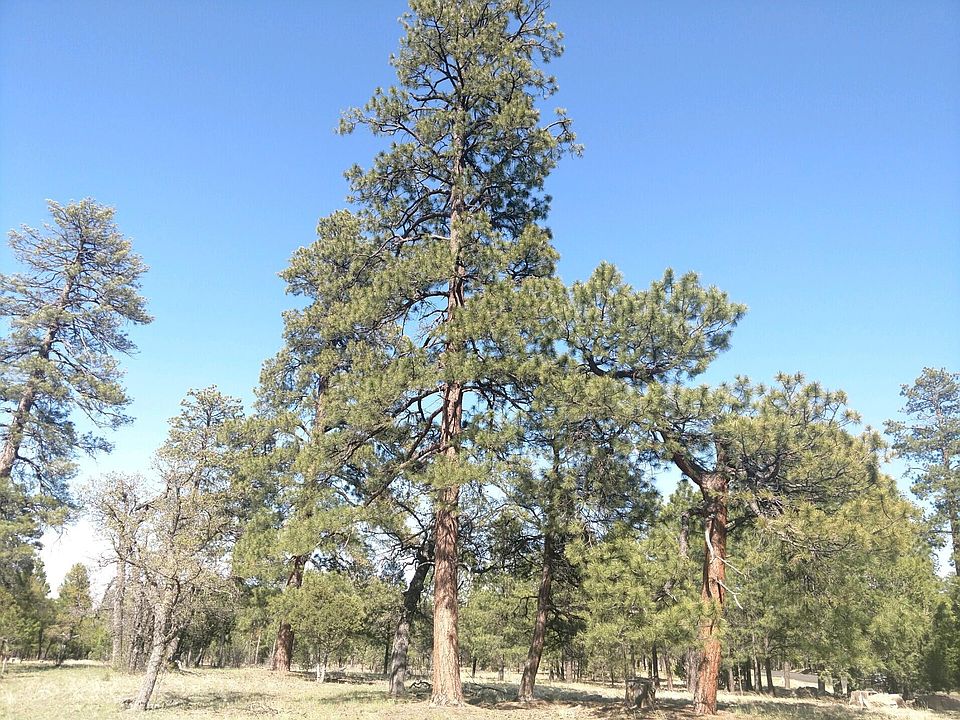 2nd image of 4873 Starlight Dr